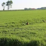 Nordseeoase Pethan 2 - Boven Vakantiehuis