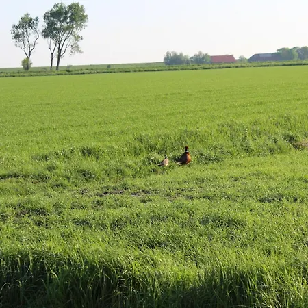 Nordseeoase Pethan 2 - Boven Dom wakacyjny