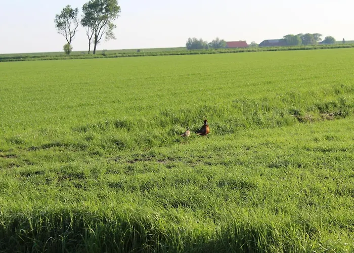 Nordseeoase Pethan 2 - Boven Nyaraló
